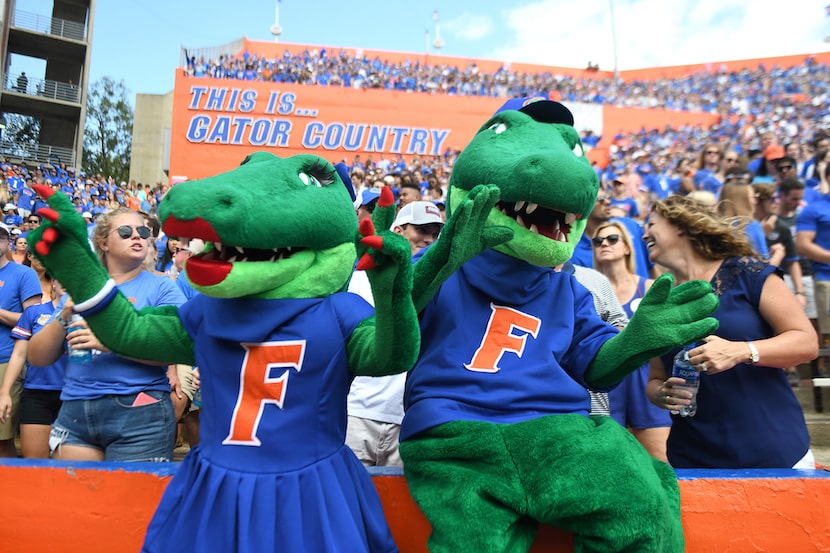 Florida Gators mascot at a University of Florida football game