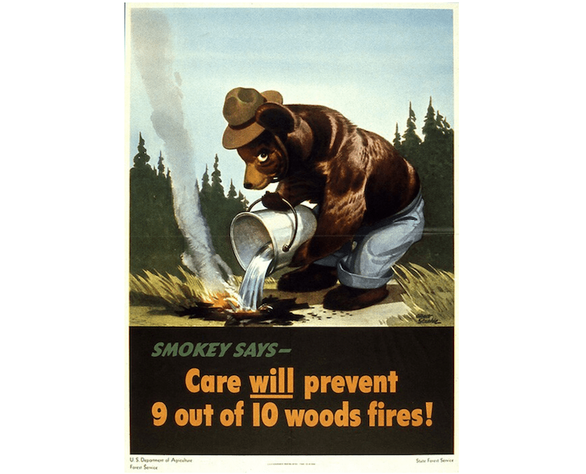 Smokey Bear who's Forest Fire Prevention Campaigns have been running since the 1940s