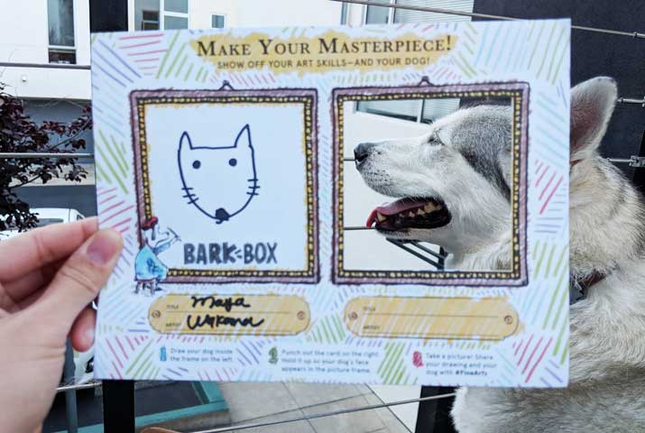 barkbox photo