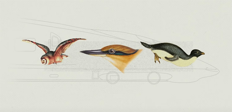 新幹線の造形は3種類の鳥を参考にしている