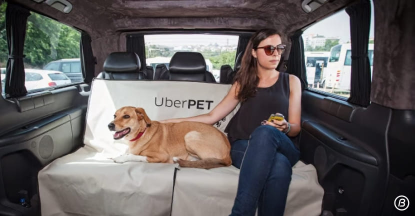 Uber Pet