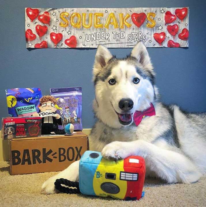 unbox barkbox