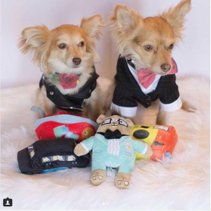 unbox barkbox