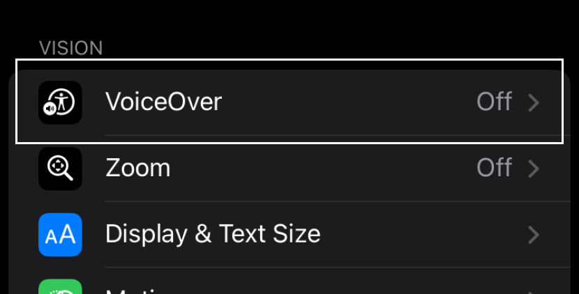 「iPhoneのアクセシビリティ設定画面。視覚サポート項目に『VoiceOver』『Zoom』『Display & Text Size』などが表示されている。